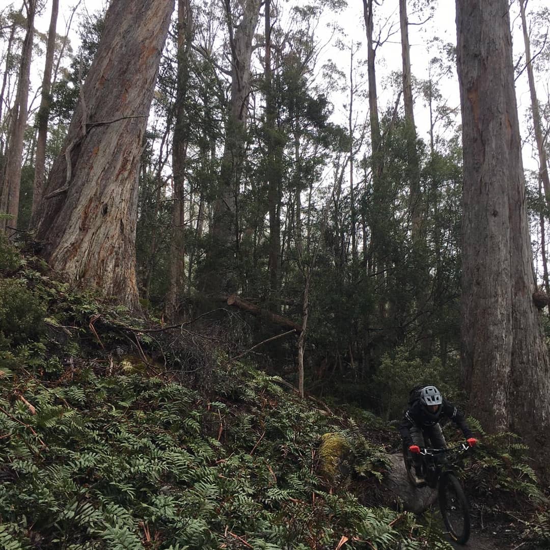 Nic Johnson riding at Maydena Mountain bike park in Tasmania. Private Lessons