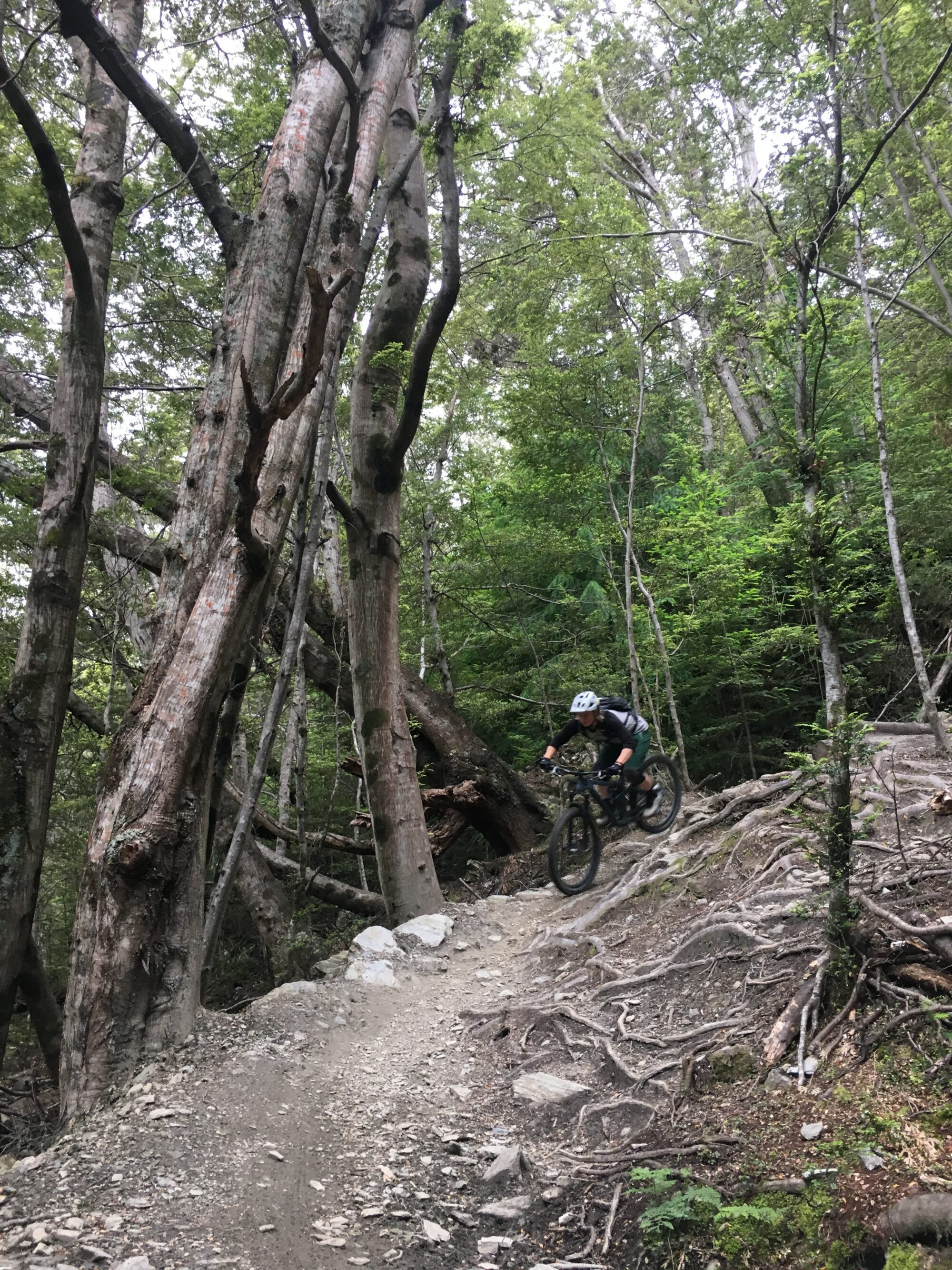 Booking Calendar. Book a mountain bike skills course or private lesson with Nic Johnson, the only adventure activities accredited coach in Wellington for adults