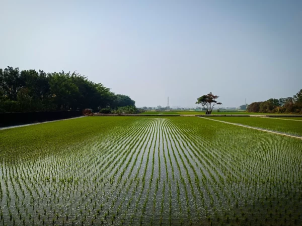 Blog, coaching tips from Nic Johnson MTB Coach