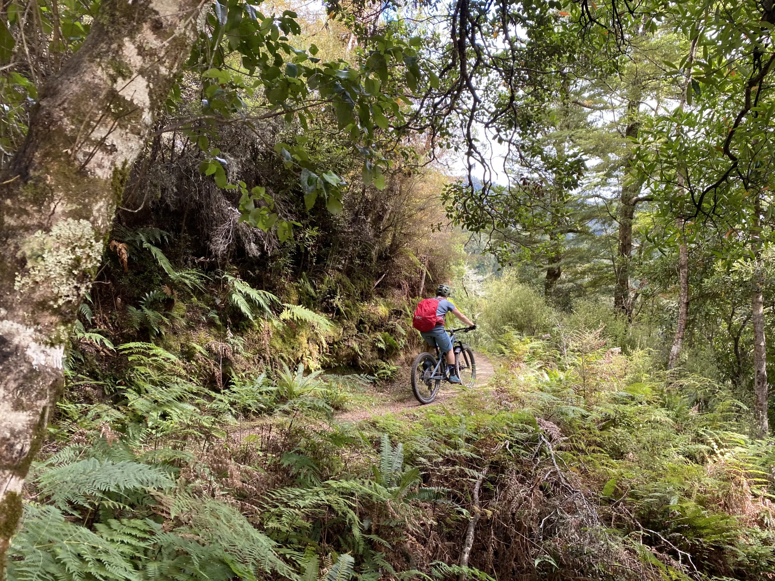 Nic Johnson is the only worksafe accredited MTB coach for adults in the Wellington region. Learn from a professional